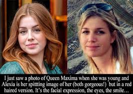 Attēlu rezultāti vaicājumam “Brefeldia maxima young”