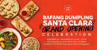 Image result for Deva Handball Club