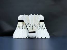 Image result for Doncaster Badminton