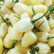 Afbeeldingsresultaat voor white habanero hot pepper
