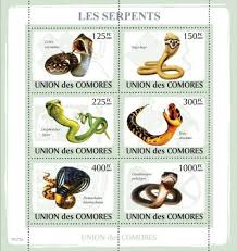 Attēlu rezultāti vaicājumam “Serpentes”