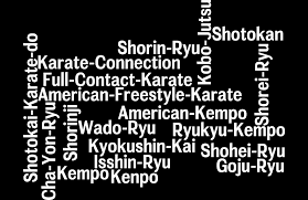 Image result for Reading Karate-Do Shotokai