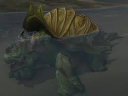 Image result for shell hell