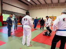Image result for NEMESIS MARTIAL ARTS & FITNESS