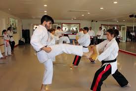 Image result for Imperial Karate Club