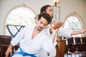 Image result for Harold Hill Aikido Club
