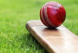 Image result for Hainault & Clayhall Cricket Club