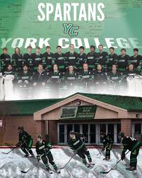 Image result for York University Hockey Club