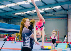 Image result for Wolverhampton Gymnastics Club