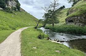 Image result for England Staffordshire Birding Club