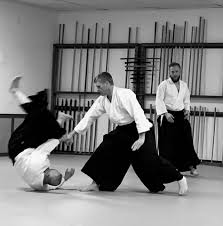 Image result for Moslin & Dewandre Aiki Dojo