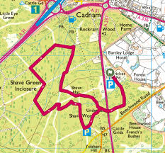 Image result for Cadnam Cricket Club