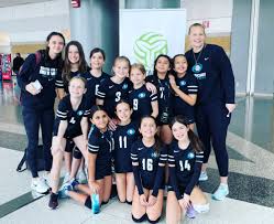 Image result for Halton Netball Club