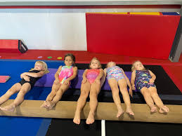 Image result for Storm Elite Trampoline Club