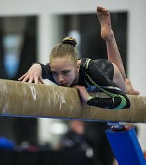 Image result for Phoenix Gymnastics