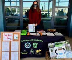 Attēlu rezultāti vaicājumam “Nola sp.”