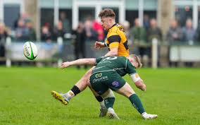 Image result for Hawick Rugby Football Club