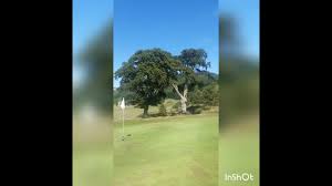 Image result for Woll Golf Course