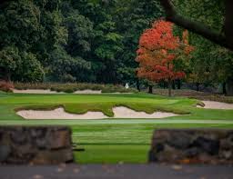 Image result for The Alt Golf Club