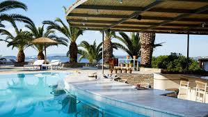 Image result for Palace Eagles Octopush Club