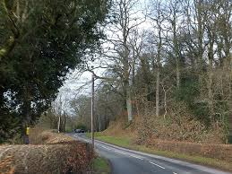 Image result for Dulverton Cc