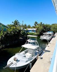 Image result for Looe Diving Club