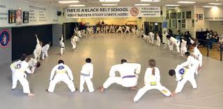 Image result for Roswell Martial Arts KA