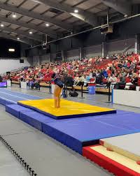 Image result for Spelthorne School Of Gymnastics