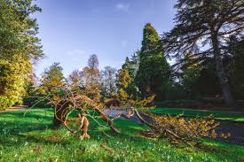 Image result for Arboretum Trompenburg