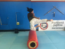 Image result for Komaru Ryu Small Circle Jujitsu/Karate