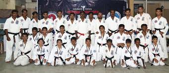 Image result for Kenshukai Karate