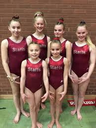 Image result for Tamworth Olympic Gymnastics Club