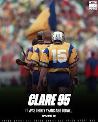 Image result for Clarehurlers