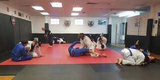 Image result for Devines Martial Arts