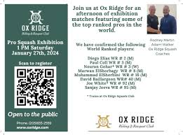 Image result for Hull East Riding Squash Club