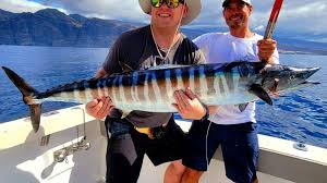 Image result for Acanthocybium solandri