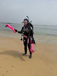 Image result for Breakwater Divers