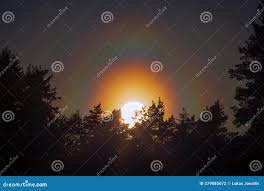 Attēlu rezultāti vaicājumam “pollen corona”