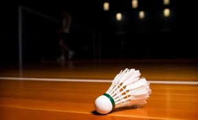 Image result for Subscriber Badminton Club