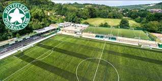 Image result for Whyteleafe Netball Club