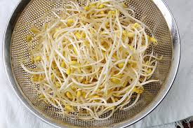 Image result for bean sprout