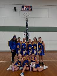 Image result for Waverley Netball Club