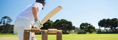 Image result for Farnham Cricket Club