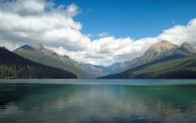 Image result for Mole Valley Bowmen