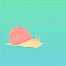 Attēlu rezultāti vaicājumam “Leucochloridium paradoxum”