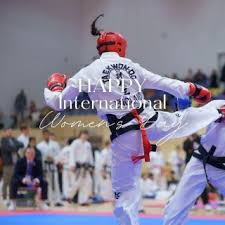 Image result for ENGLISH INTERNATIONAL ALLSTYLES TAEKWONDO