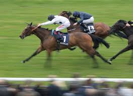 Image result for Elite Racing Club