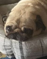 Image result for *PHUfbqhZ