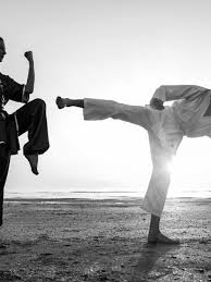 Image result for Newport Kyokushin Karate Club