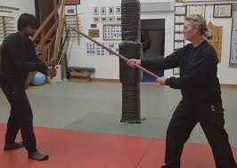 Image result for Bujinkan Dojo Seijitsu